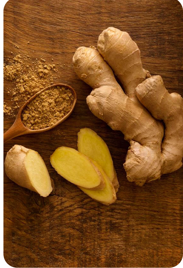 Ginger and Spice – Hand-Poured 7Oz