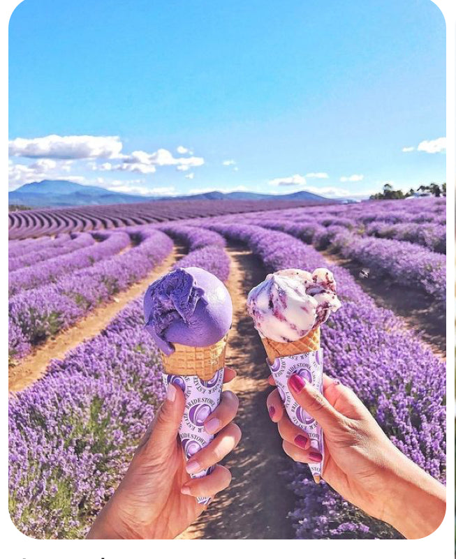 Lavender amor -Hand Poured Candle -9 Oz